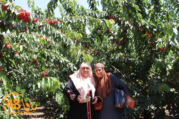 re7la bayere3jqw (17).JPG